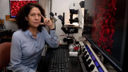 Princeton and Microsoft collaborate to tackle fundamental challenges in microbiology