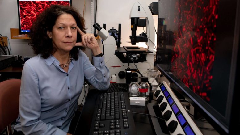 Princeton and Microsoft collaborate to tackle fundamental challenges in microbiology