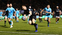 Harlequins