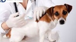 Global Veterinary/Animal Vaccines Market